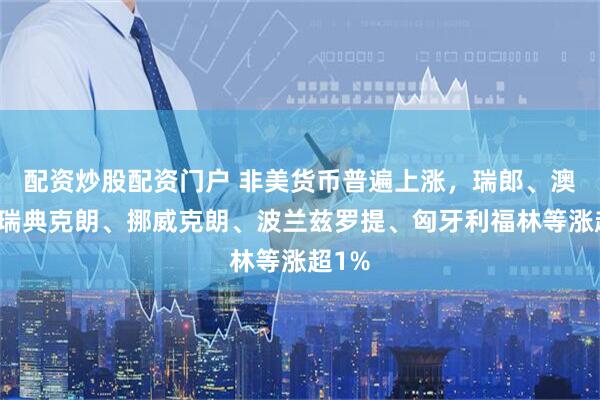 配资炒股配资门户 非美货币普遍上涨，瑞郎、澳元、瑞典克朗、挪威克朗、波兰兹罗提、匈牙利福林等涨超1%