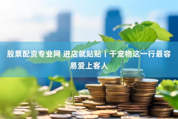 股票配资专业网 进店就贴贴丨干宠物这一行最容易爱上客人