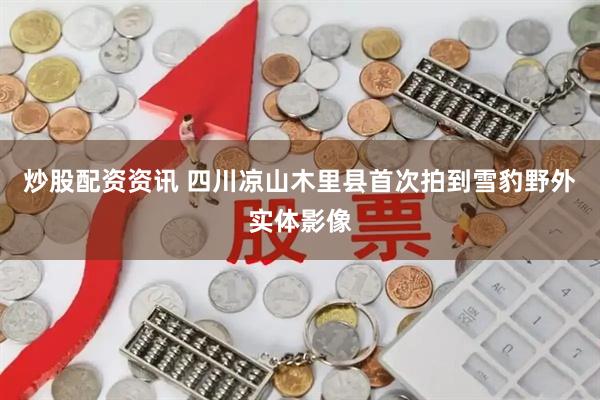 炒股配资资讯 四川凉山木里县首次拍到雪豹野外实体影像